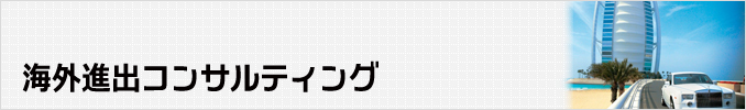 海外進出コンサルティング